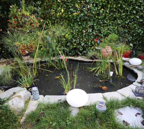 Aménagement bassin de jardin